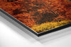 Lake View Brushed Aluminium Dibond Wall Art by Insigneart USA
