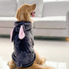 Pet Dog Golden Retriever Clothes Tiger Pet Costume by My Store