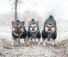 Autumn Winter Warm Knitted Pet Hats With Fluffy Ball by Furr Baby Gifts