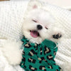 Knitted Dog Leopard-print Sweater Small Dog Pet Dog Cat Clothes by My Store