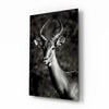 Deer Glass Wall Art by Insigneart USA