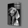 Innocent Dog Glass Wall Art by Insigneart USA