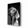Innocent Dog Glass Wall Art by Insigneart USA