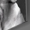 Innocent Dog Glass Wall Art by Insigneart USA