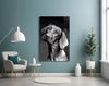 Innocent Dog Glass Wall Art by Insigneart USA