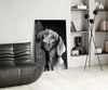 Innocent Dog Glass Wall Art by Insigneart USA
