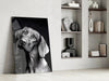 Innocent Dog Glass Wall Art by Insigneart USA