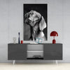 Innocent Dog Glass Wall Art by Insigneart USA