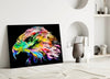 Falcon Glass Wall Art by Insigneart USA