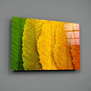 Autumn Leaves Glass Wall Art by Insigneart USA