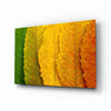 Autumn Leaves Glass Wall Art by Insigneart USA