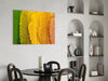 Autumn Leaves Glass Wall Art by Insigneart USA