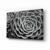 Flower Glass Wall Art by Insigneart USA