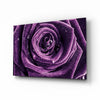 Purple Rose Glass Wall Art by Insigneart USA