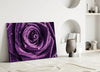 Purple Rose Glass Wall Art by Insigneart USA
