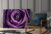 Purple Rose Glass Wall Art by Insigneart USA