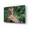 Cheetah Glass Wall Art by Insigneart USA