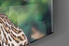Cheetah Glass Wall Art by Insigneart USA