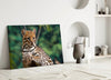 Cheetah Glass Wall Art by Insigneart USA