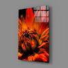 Flower Glass Wall Art by Insigneart USA
