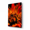 Flower Glass Wall Art by Insigneart USA