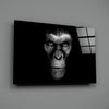 Gorilla Glass Wall Art by Insigneart USA