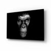 Gorilla Glass Wall Art by Insigneart USA