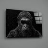 Gorilla Glass Wall Art by Insigneart USA