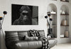 Gorilla Glass Wall Art by Insigneart USA