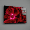 Malvales Flower Glass Wall Art by Insigneart USA