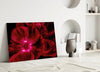 Malvales Flower Glass Wall Art by Insigneart USA