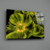 Malvales Flower Glass Wall Art by Insigneart USA