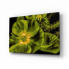 Malvales Flower Glass Wall Art by Insigneart USA