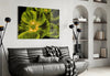 Malvales Flower Glass Wall Art by Insigneart USA