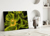 Malvales Flower Glass Wall Art by Insigneart USA