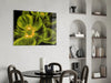 Malvales Flower Glass Wall Art by Insigneart USA