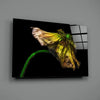 Flower Glass Wall Art by Insigneart USA