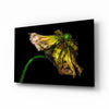 Flower Glass Wall Art by Insigneart USA