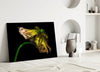 Flower Glass Wall Art by Insigneart USA
