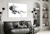 Horse Glass Wall Art by Insigneart USA