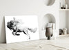 Horse Glass Wall Art by Insigneart USA