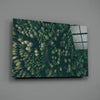 Forest Glass Wall Art by Insigneart USA
