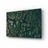 Forest Glass Wall Art by Insigneart USA