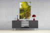 Colors of Abstraction Glass Wall Art by Insigneart USA