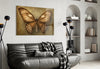 Butterfly Glass Wall Art by Insigneart USA