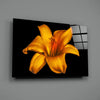 Lily Glass Wall Art by Insigneart USA