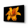 Lily Glass Wall Art by Insigneart USA