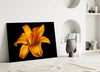 Lily Glass Wall Art by Insigneart USA