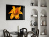 Lily Glass Wall Art by Insigneart USA