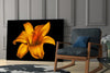 Lily Glass Wall Art by Insigneart USA